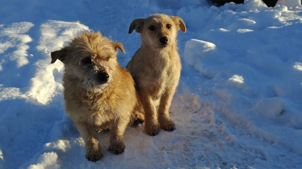 Синоптики рассказали, когда в Арсеньево придёт потепление