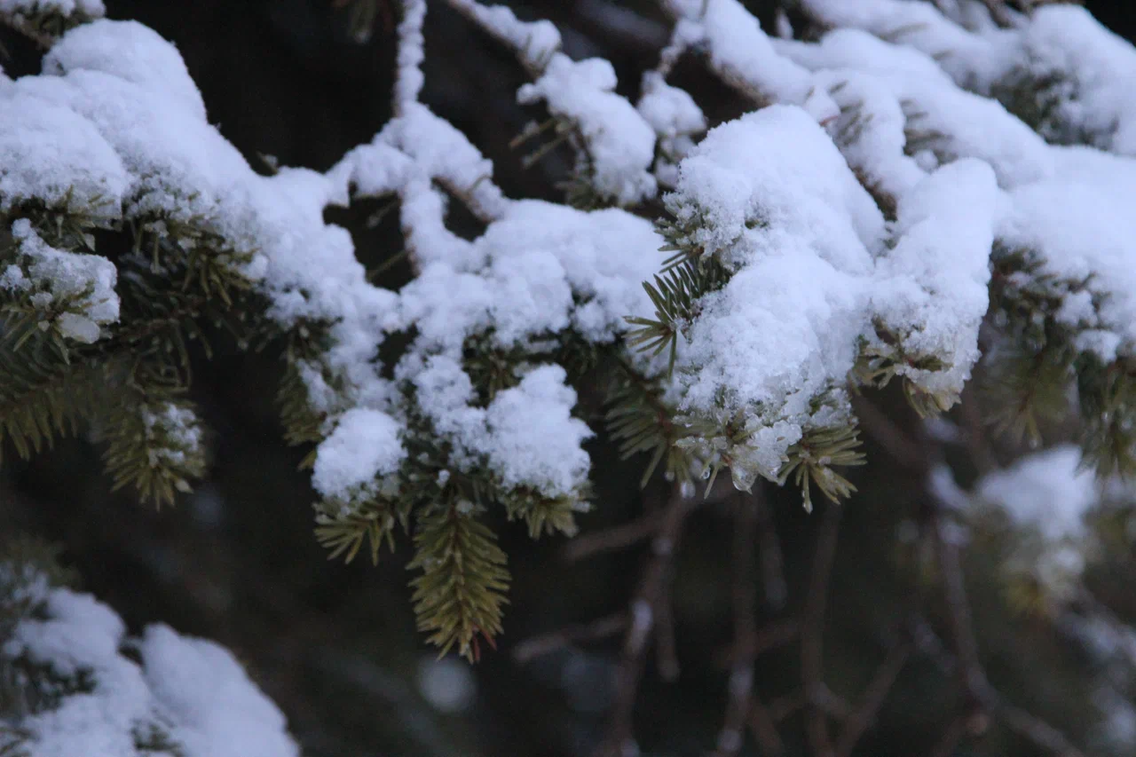 Чего ждать от погоды арсеньевцам? Чего ждать от погоды арсеньевцам?