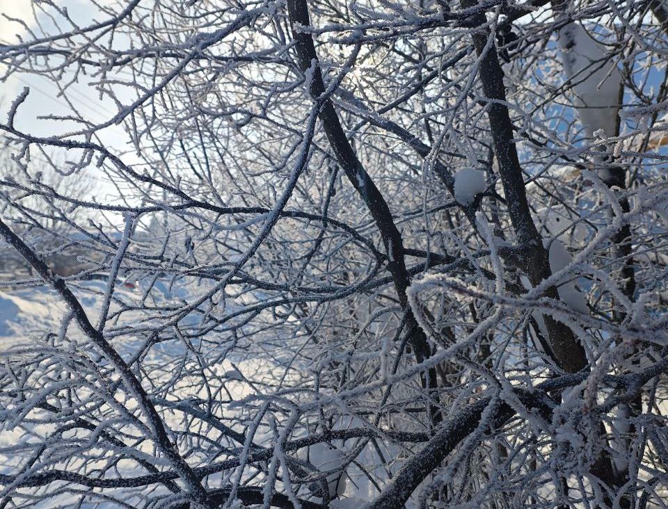 Чего ждать от погоды арсеньевцам? Чего ждать от погоды арсеньевцам?