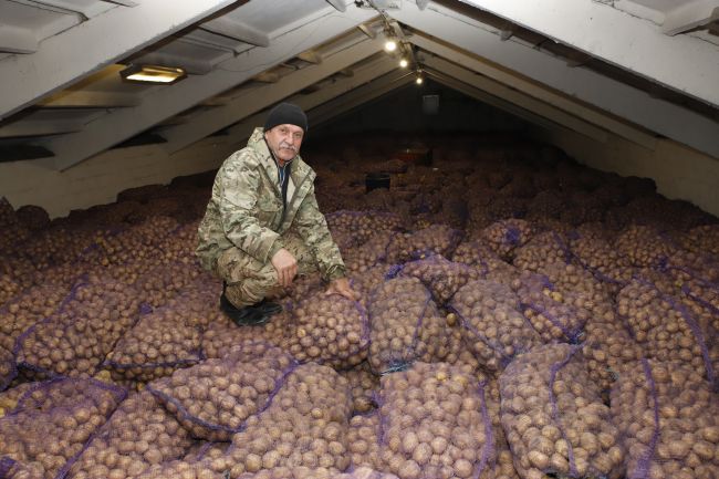 Динамика отпускных цен на большую часть социально значимых продуктов в 2023-м ниже инфляции