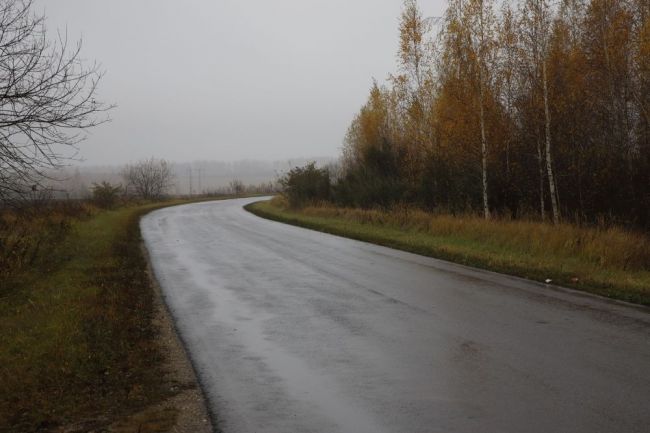Погода: во вторник в Тульском регионе будет облачно с прояснениями, до +4°