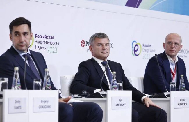 Игорь Маковский на РЭН рассказал о практике и перспективах применения систем накопления электроэнергии