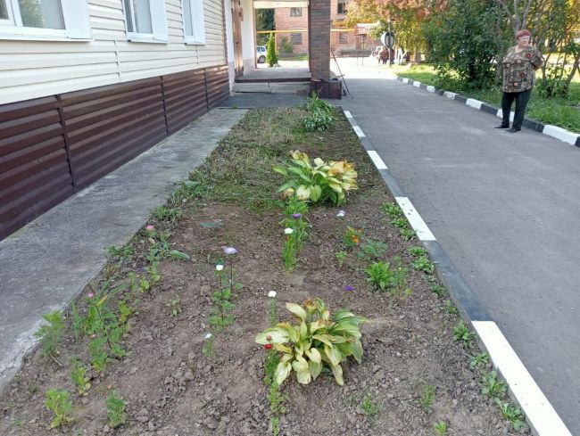 В Манаенском центре культуры прошла акция  Экологический вторник