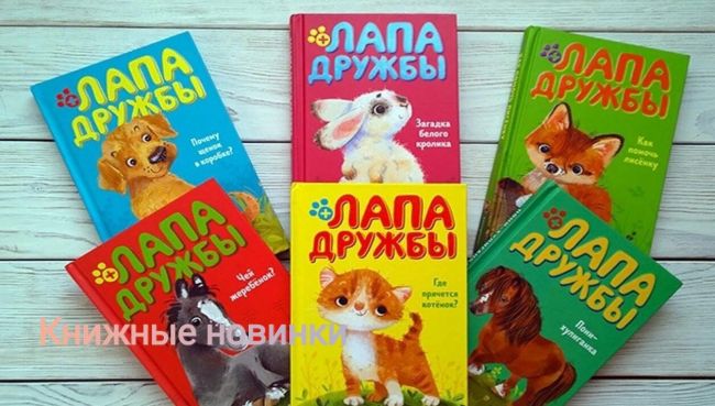 В Арсеньевской библиотеке новые книги ждут своих читателей