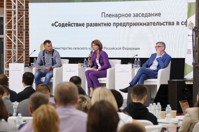 В Туле заявили, что в 2024-м российские фермеры могут получить поддержку до 15 миллиардов рублей