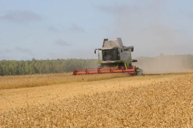 Российскими сельхозтоваропроизводителями уже собрано 112 млн тонн зерновых