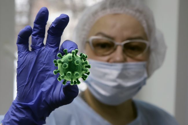 Эксперт лабораторной диагностики: Новый штамм коронавируса JN.1 придёт в Россию до марта
