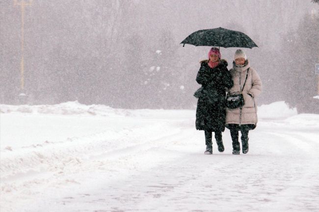 Синоптики пообещали белёвцам на наступившей неделе две волны снегопадов и два потепления
