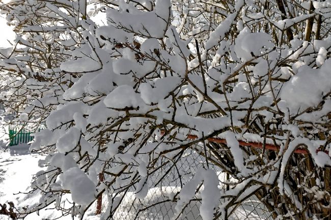 «Мело, мело по всей земле»: синоптики пообещали белёвцам много снега сегодня