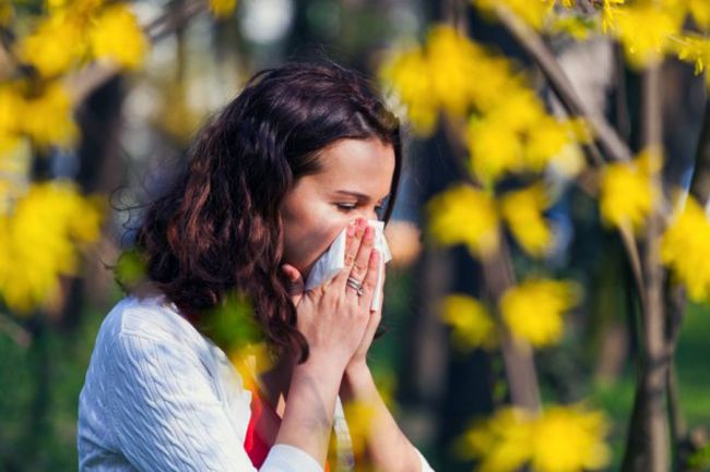 Белёвцам рассказали, как избежать аллергии на первые весенние цветущие растения