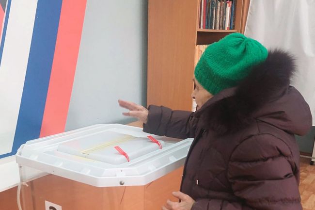 Белёвские старожилы идут на избирательные участки лично