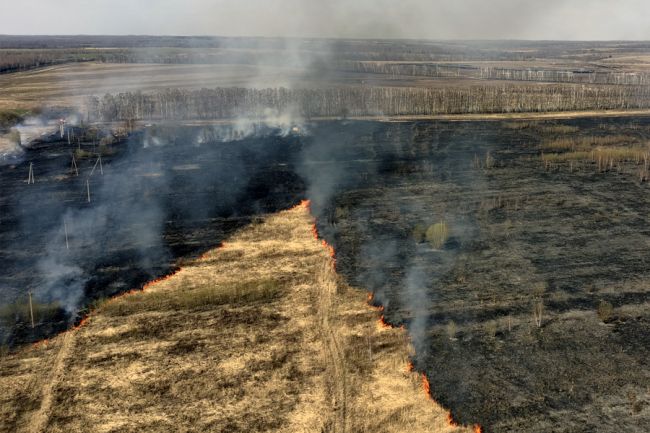 В Белёвский район приходит период природных пожаров