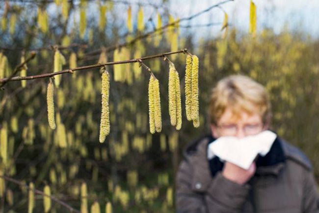 «А мне начхать»: белёвцам рассказали, как избежать аллергии на первые цветущие растения