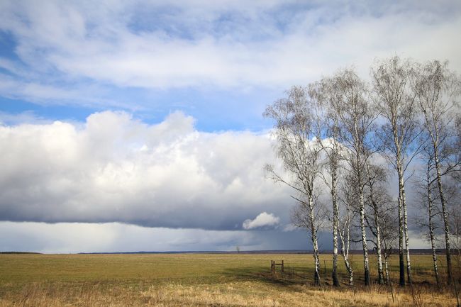 «У природы нет плохой погоды»: белёвцев сегодня ждёт сырой и ветреный день