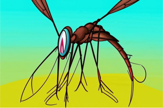 «Никогда такого не было, и вот опять»: в России обнаружили 47 новых вирусов у комаров
