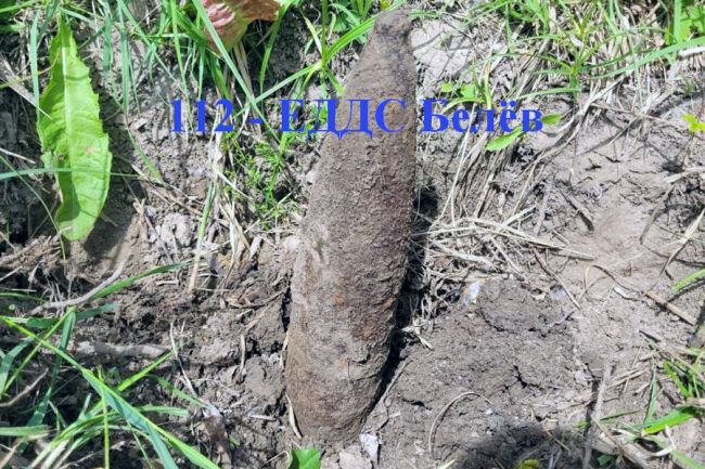 В Белёвском районе найден артиллерийский снаряд