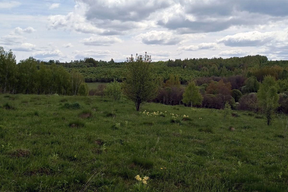 Сегодня  без осадков