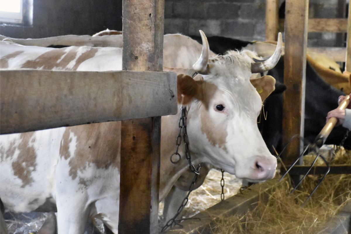 Народные приметы на 31 декабря – Модестов день Народные приметы на 31 декабря – Модестов день