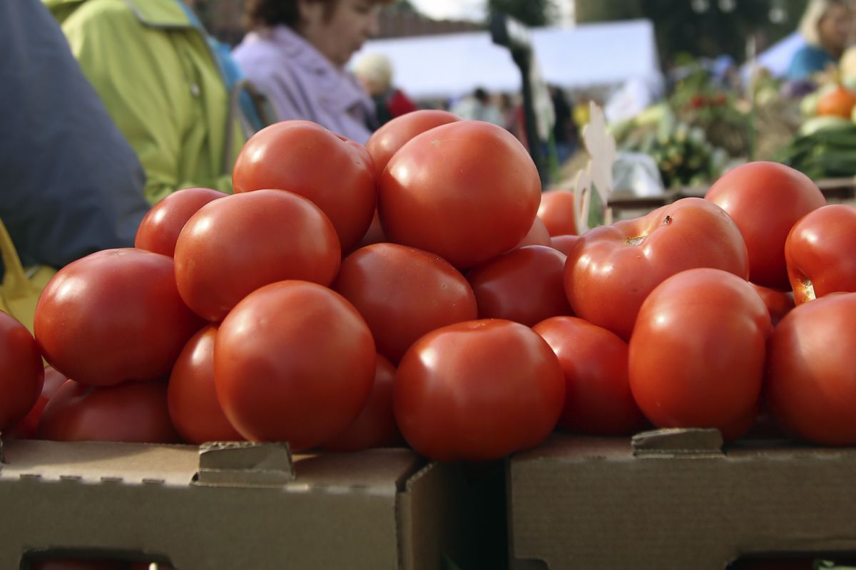 Белёвцам рассказали, чем могут быть опасны фермерские продукты Белёвцам рассказали, чем могут быть опасны фермерские продукты
