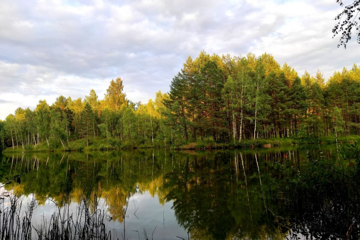 Сегодня погода в Белёве будет пасмурная, грозы
