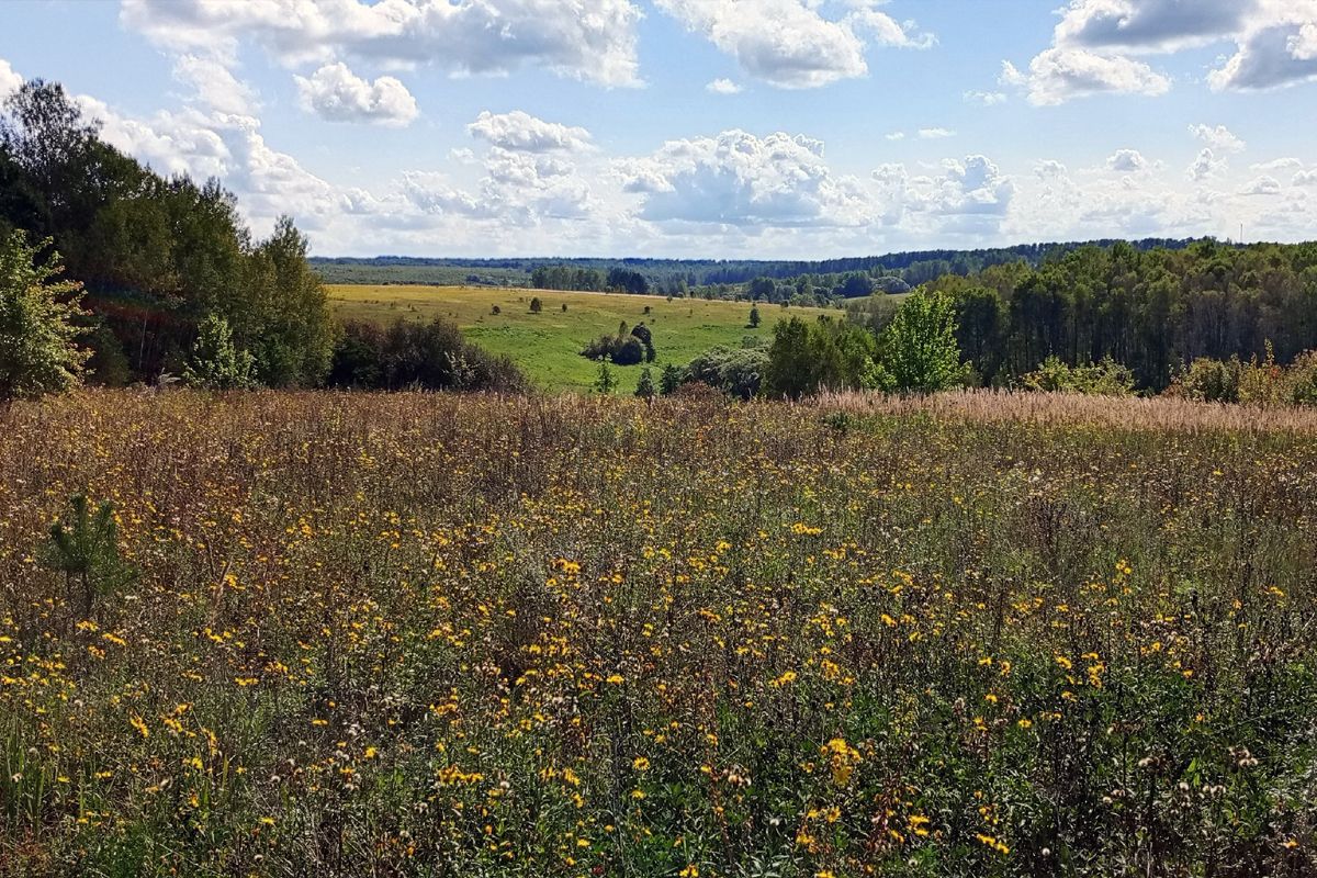 Бабье лето в Белёве продлится минимум всю неделю