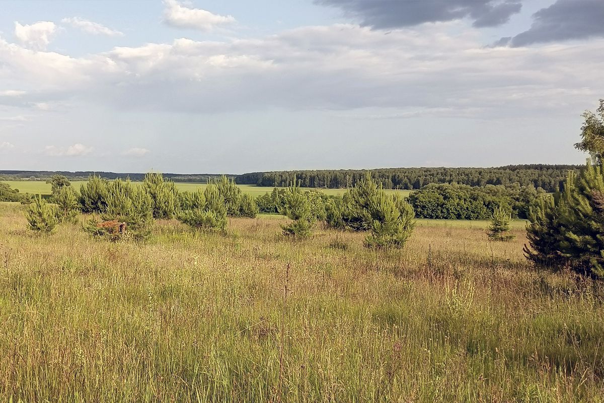 Неделя в Белёве начинается с жары