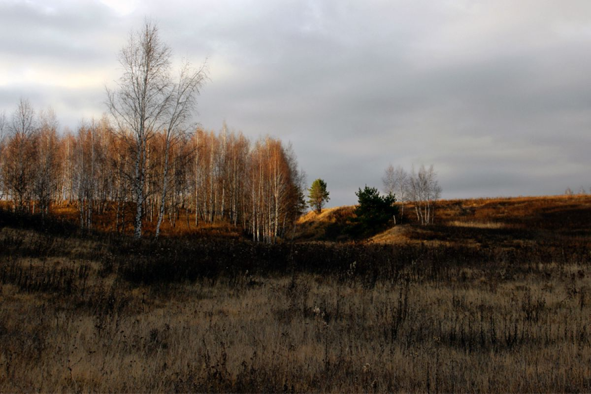 Сегодня в Белёве ожидается переменная облачность Сегодня в Белёве ожидается переменная облачность