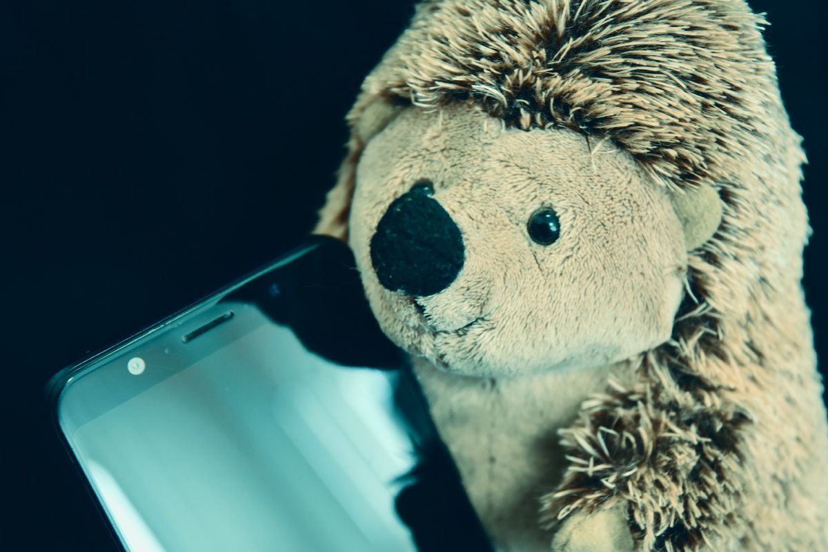 «Нельзя говорить с незнакомцами»: эксперт назвал белёвцам способы защиты детей от мошенников в Сети «Нельзя говорить с незнакомцами»: эксперт назвал белёвцам способы защиты детей от мошенников в Сети