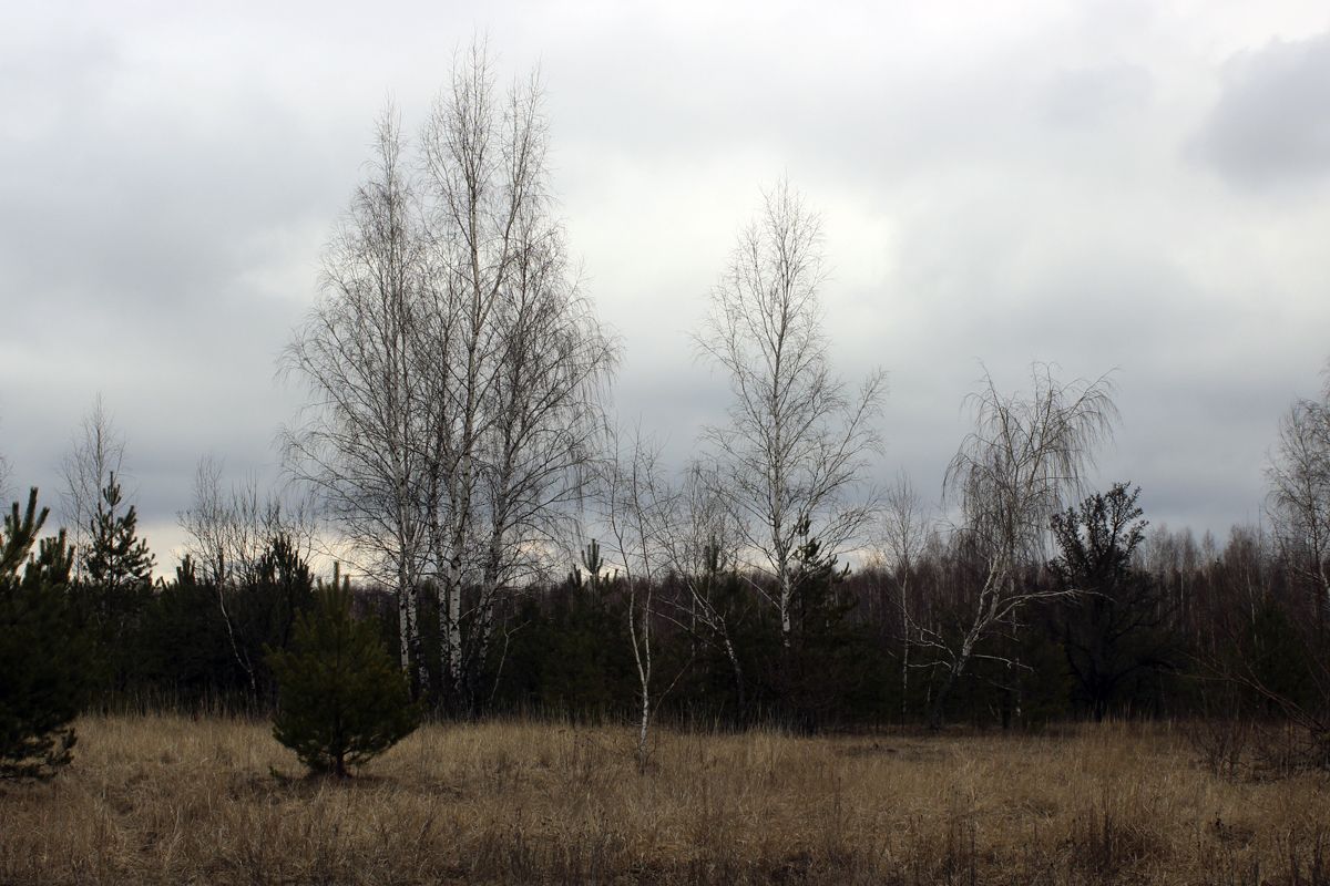 Сегодня в Белёве будет облачно и дождливо?