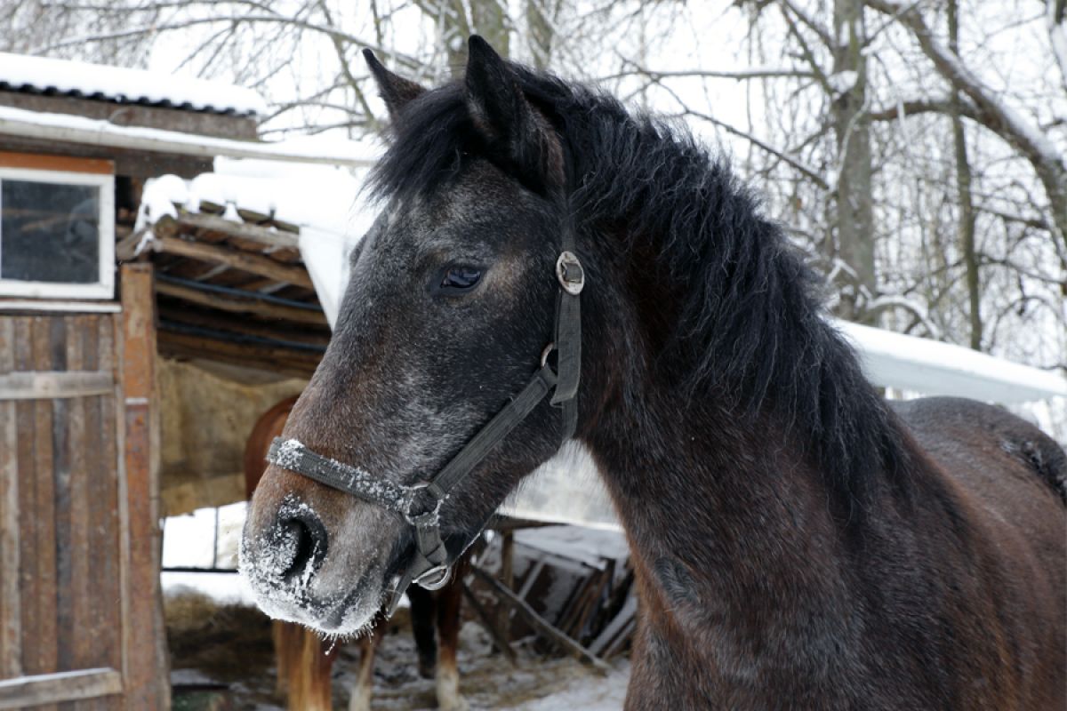 Почему в этот день ждали дежавю: народные приметы на 30 октября 2025 года Почему в этот день ждали дежавю: народные приметы на 30 октября 2025 года