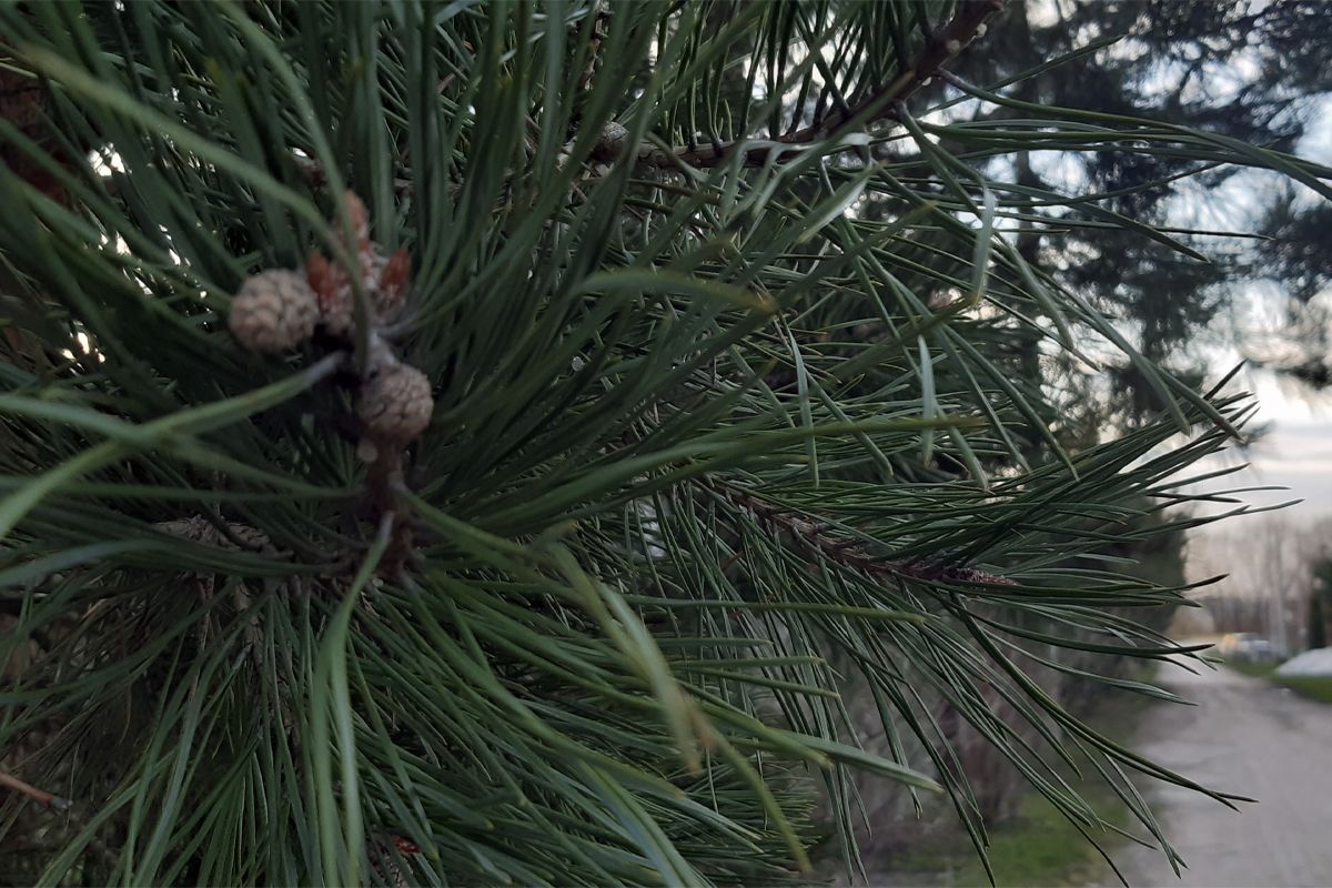 О погоде в Белёве в первый день ноября О погоде в Белёве в первый день ноября