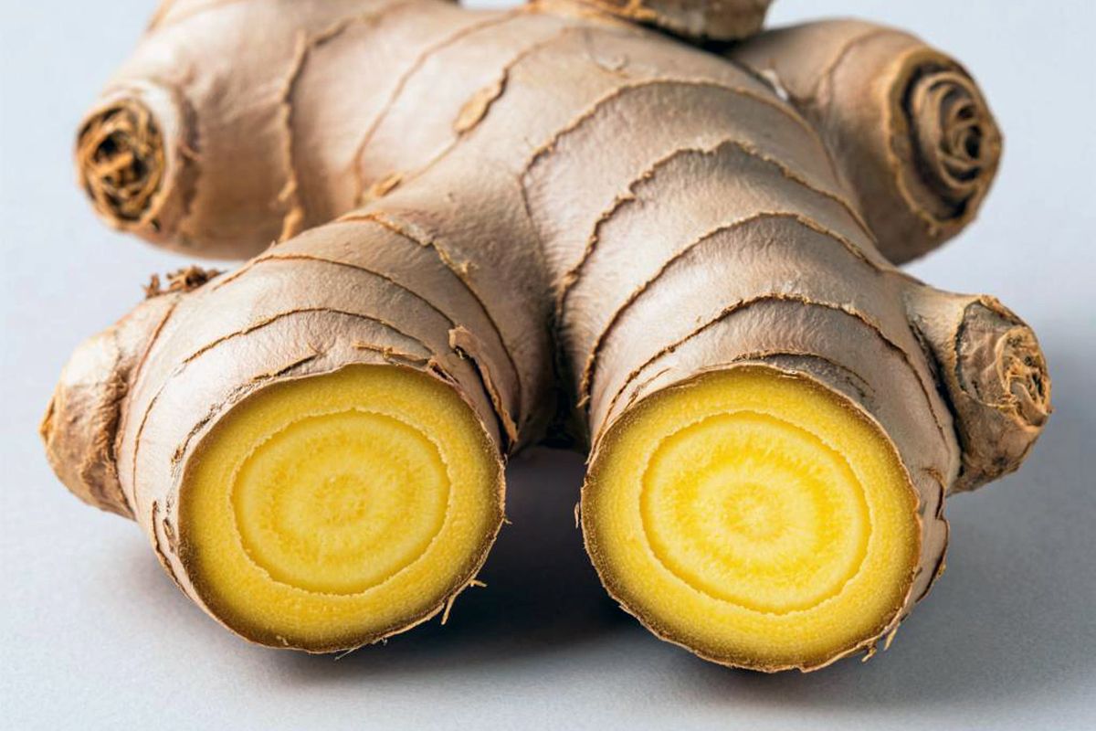 Белёвцам советуют есть имбирь Белёвцам советуют есть имбирь