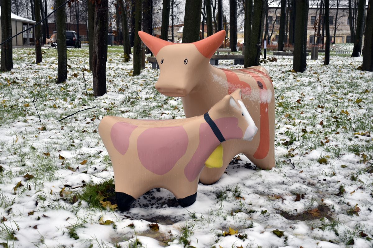 Первый визит зимы белёвцы могут встретить уже в эти выходные