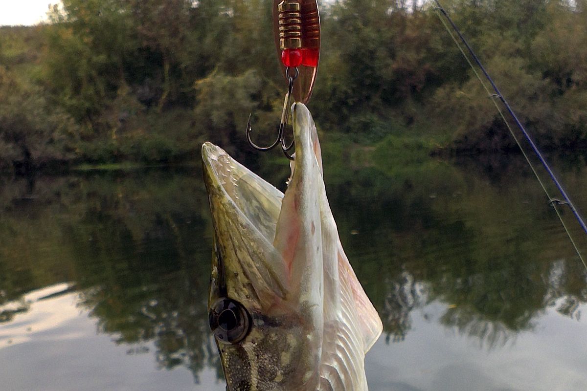 Приметы на 13 ноября 2025 года: что запрещено делать в праздник рыболова