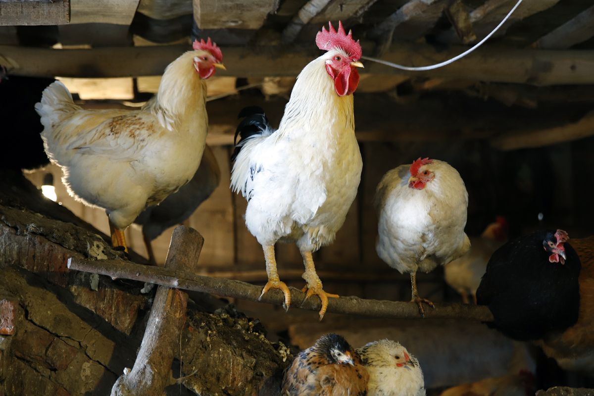 Приметы на 14 ноября 2025: как правильно встречать Кузьминки осенние