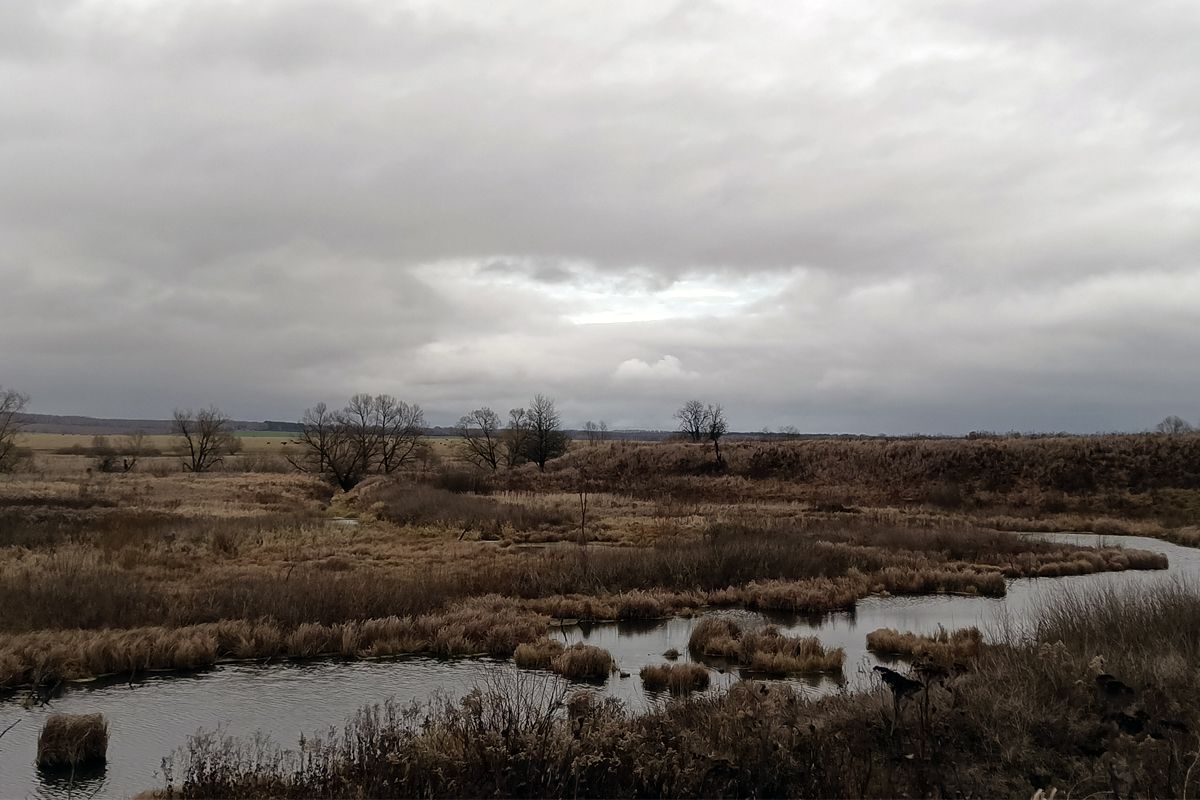 О погоде в Белёве сегодня О погоде в Белёве сегодня