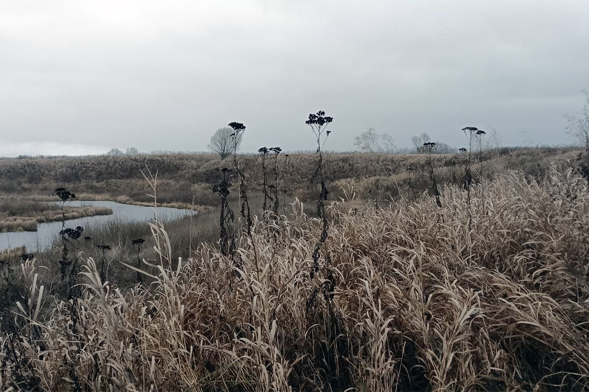 Какая погода ждёт белёвцев в субботу...