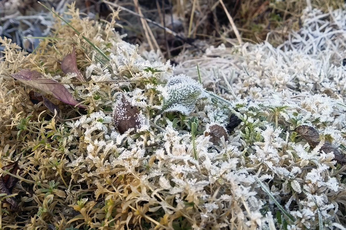 Какая погода ждёт белёвцев в первый день зимы