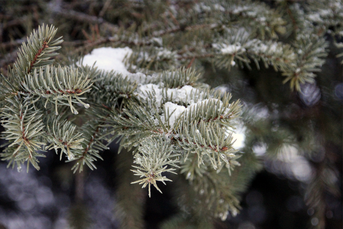О погоде в Белёве сегодня О погоде в Белёве сегодня
