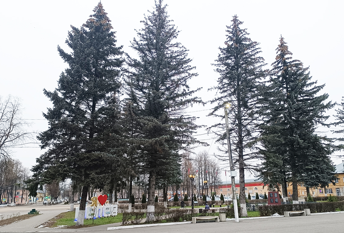 Сегодня погода в Белёве будет пасмурная, кратковременный снег