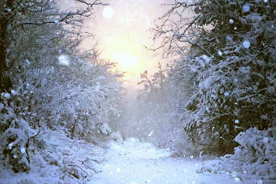 Южный ветер сегодня - к тёплому лету