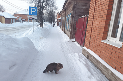 Погода в Белёве будет облачная, без осадков
