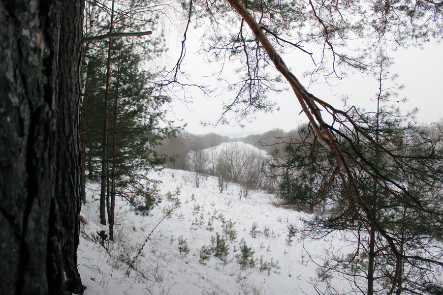 Какая погода ждёт белёвцев в среду