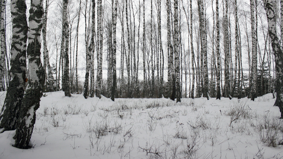 Белёвцам рассказали о погоде сегодня