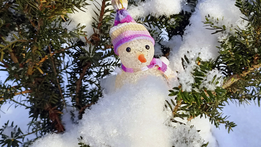 О погоде в Белёве в среду 4 февраля