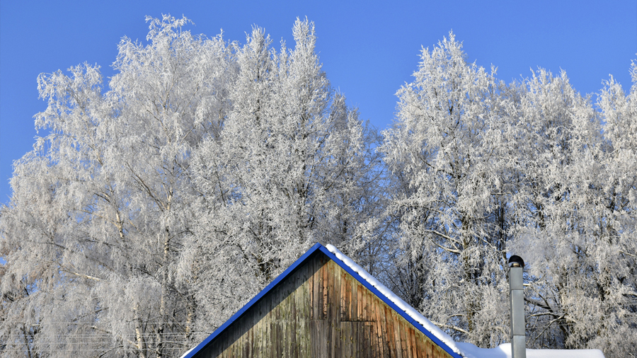 Солнечный полдень сегодня обещает белёвцам раннюю весну