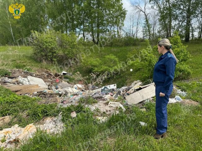 В Новомосковске нашли несанкционированную свалку