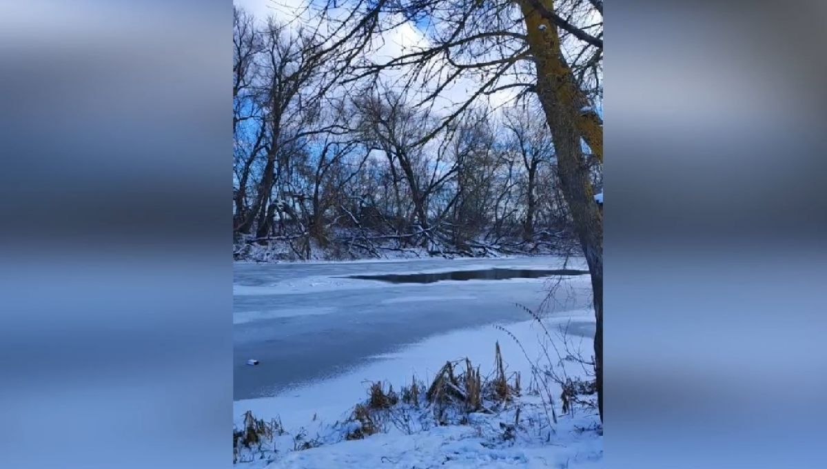 Тулячка погибла, спасая из полыньи свою собаку