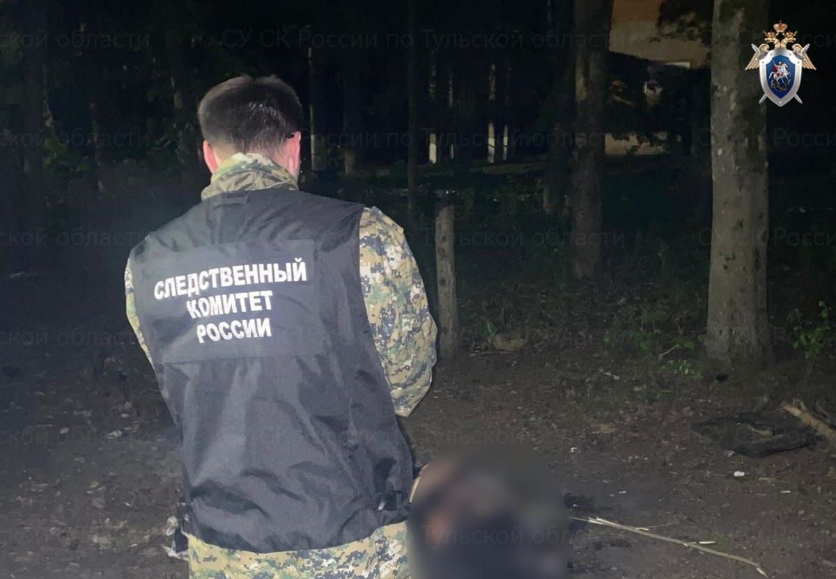 В Богородицке местной жительнице предъявлено обвинение в убийстве