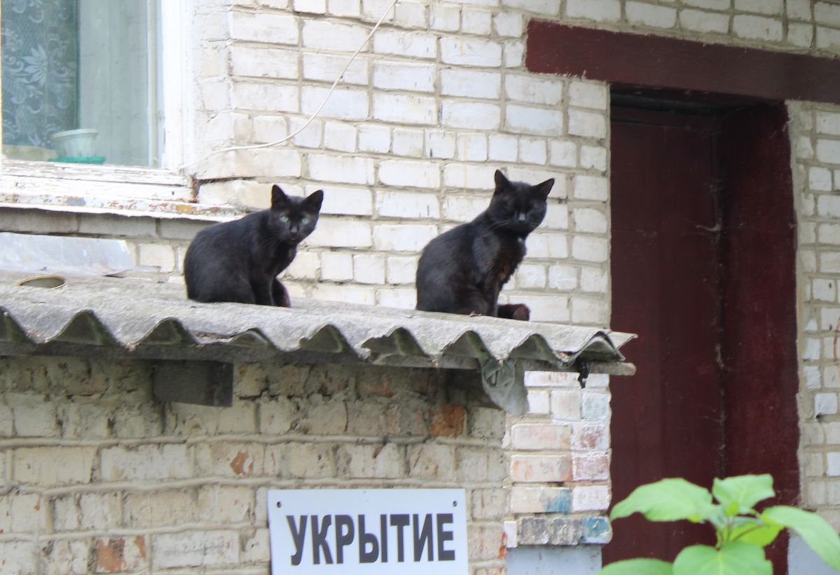 Богородицкие спасатели информируют о рисках использования нагревательных приборов Богородицкие спасатели информируют о рисках использования нагревательных приборов